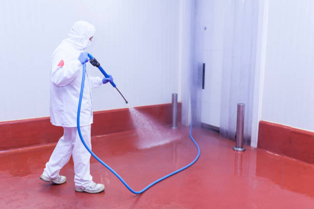Best Winterizing Services  in North Adams, MA